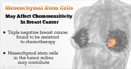 Chemosensitivity in Breast Cancer Link to Mesenchymal Stem Cells
