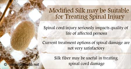 Modified Silk May be Used to Treat Spinal Cord Injury
