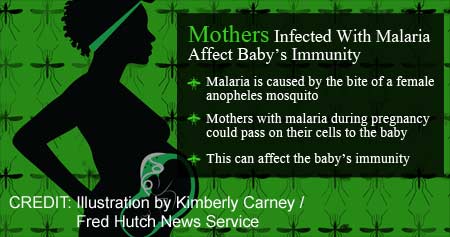 How Malaria During Pregnancy Can Affect Baby's Immunity