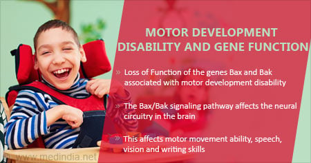 How Motor Development Disability is Linked To Gene Function