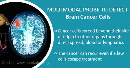 Multimodal Probe  to Detect Brain Cancer Cells