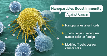 How Nanoparticles Boost Immunity Against Cancer