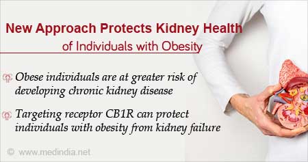 New Approach to Protect Kidney Health of Obese Individuals