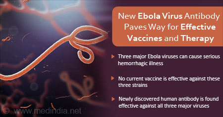 New Ebola Virus Antibody for Vaccines and Therapy