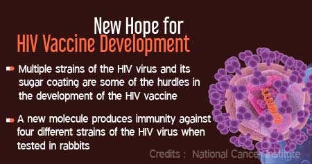 New Hope for HIV Vaccine Development