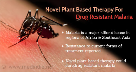 Breakthrough Plant-Based Therapy for Drug-Resistant Malaria