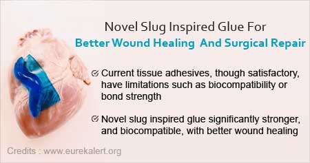 Slug Secreted Natural Tissue to Improve Wound Healing