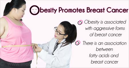 How Obesity Promotes Breast Cancer