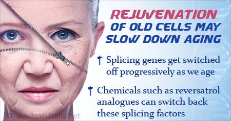 How Rejuvenation of Old Cells can Slow Down Aging