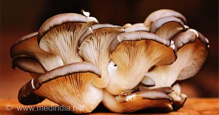 Sun-Exposed Oyster Mushrooms Aid in Tuberculosis Treatment