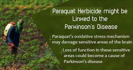 Paraquat Herbicide Link with Parkinson's Disease