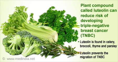 Benefits of Herbs and Vegetables to Treat Breast Cancer