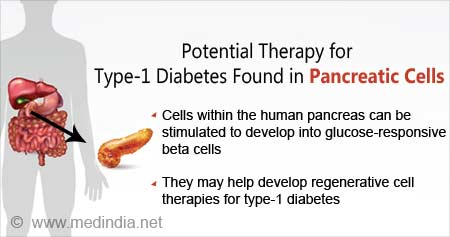 Potential Therapy for Type-1 Diabetes Found in Pancreatic Cells