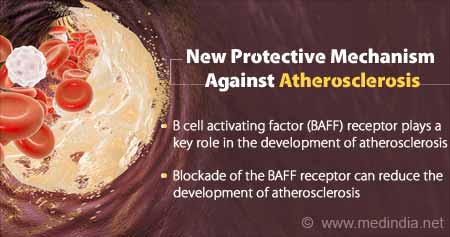 New Protective Mechanism Against Atherosclerosis