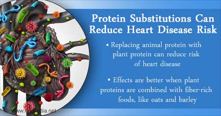 Altering Protein Intake Can Lower Heart Disease Risk
