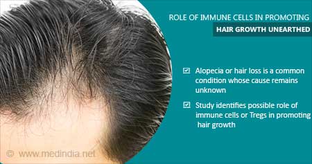 Immune Cells for Hair Growth