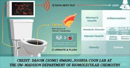 Smart Toilet System can Help Monitor Your Health