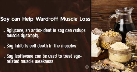 Soy-Based Foods Can Decrease Muscle Atrophy