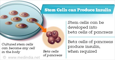 How Stem Cells can Produce Insulin