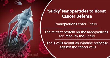 Nanoparticles to Fight Cancer Cells