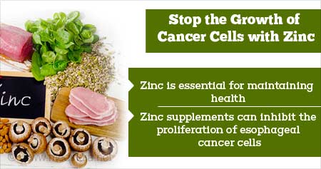 Zinc to Combat Cancer Cells Growth