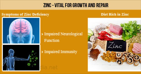 the Benefits of Zinc for the Body