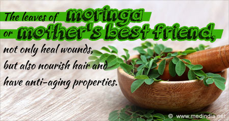Amazing the Benefits of Moringa Leaves
