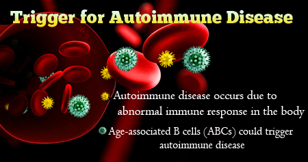 Trigger for Autoimmune Disease