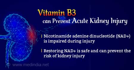 Vitamin B3 can Help Treat Acute Kidney Injury