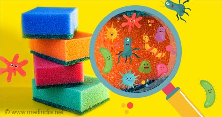 Kitchen Sponges Can Have More Bacteria Than Lab Petri Dishes, Researchers  Say 