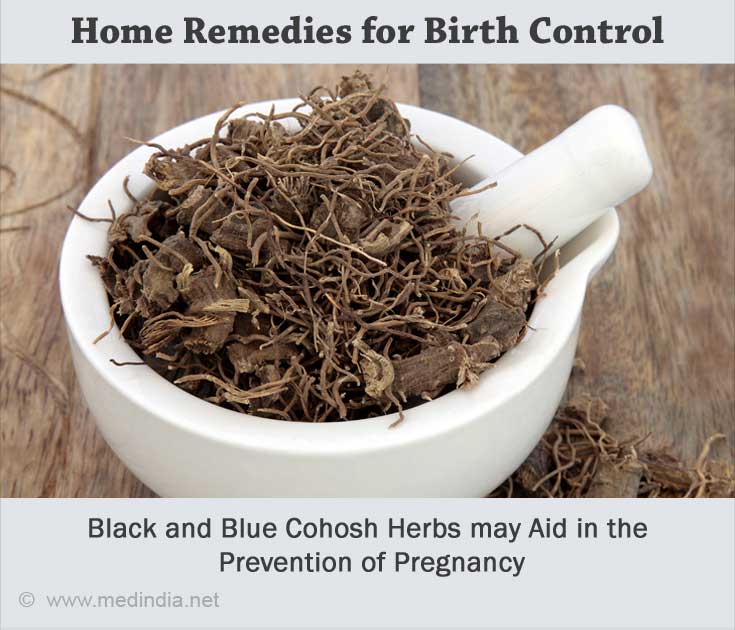 Use Black and Blue Cohosh for Birth Control Use Black and Blue Cohosh for Birth Control