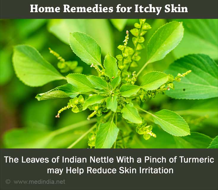 Home Remedies for Nettle Stings