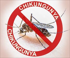 Chikungunya News
