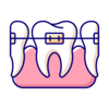 Dentistry - Orthodontic