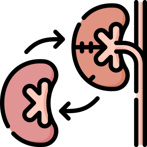 Transplantation  Specialty