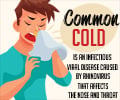 Infographics on Common Cold
