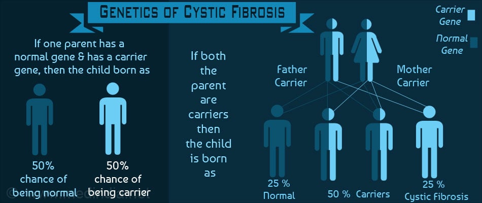 Cystic Fibrosis Inheritance Chart
