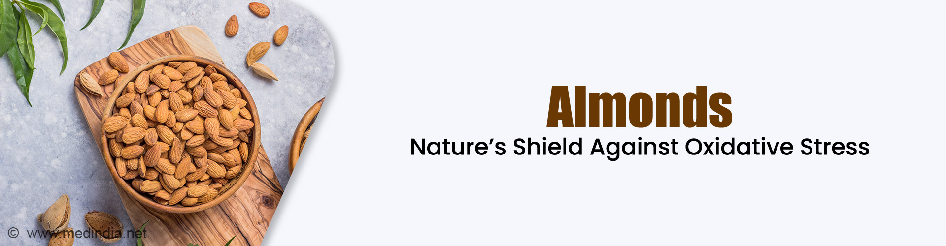 Almond Armor for Oxidative Stress: Myth or Fact?