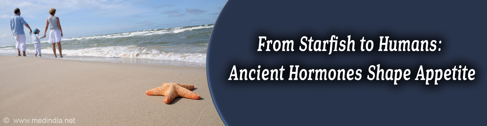 Starfish & Humans Share a 500-Million-Year-Old Hunger Switch!