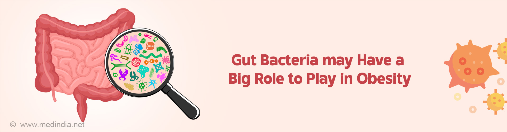 Some Guts Digest Food Faster Than Others Because of Microbes