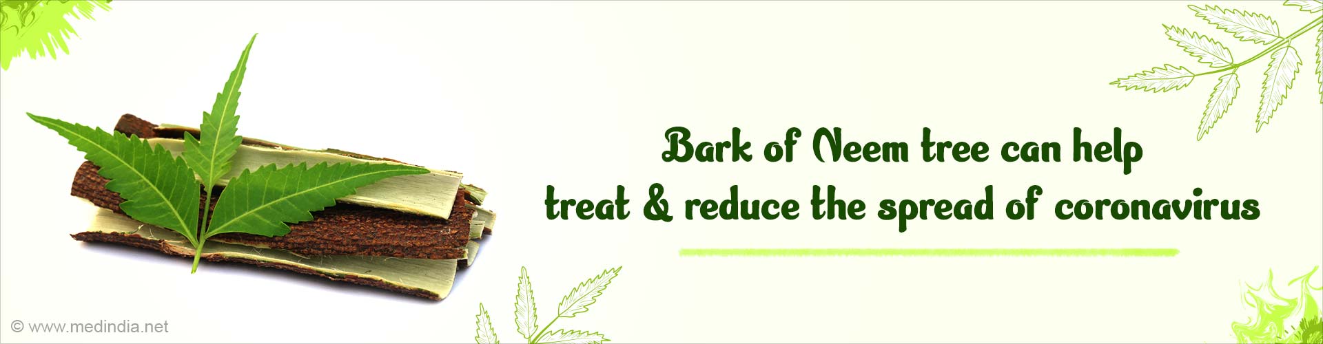 Good News: Bark of Neem Tree can Protect Against Covid-19 Good News: Bark of Neem Tree can Protect Against Covid-19