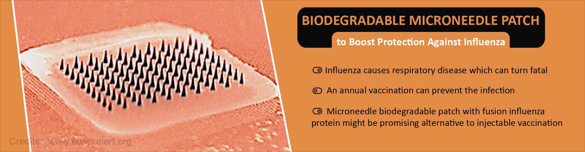 Microneedle Biodegradable Patch With Fusion Protein : Promising Alternative to Influenza Vaccination Microneedle Biodegradable Patch With Fusion Protein : Promising Alternative to Influenza Vaccination