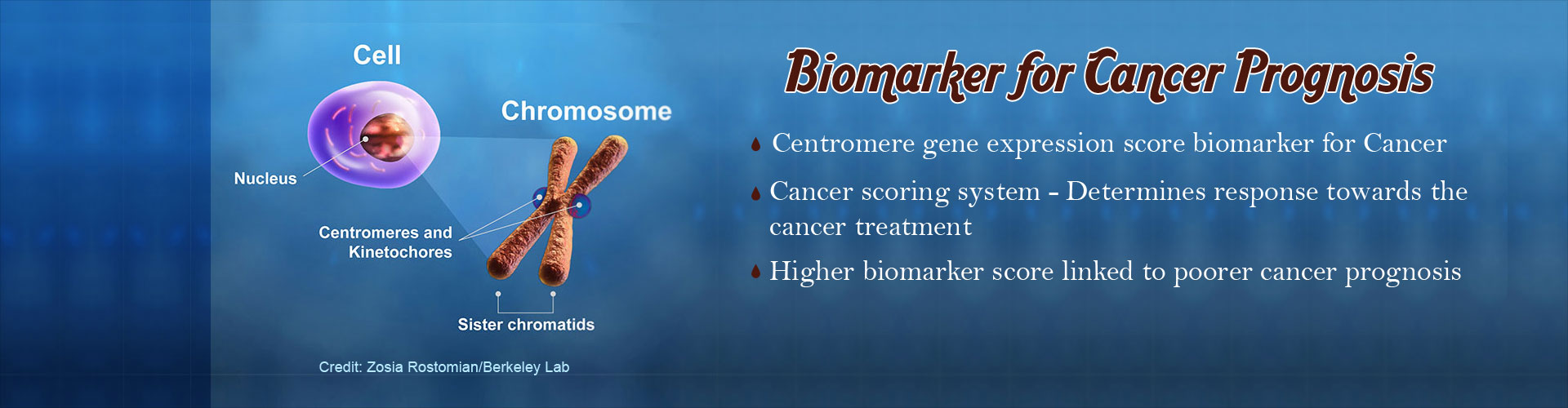 Higher Score of Markers Spell Poor Prognosis of Cancer Higher Score of Markers Spell Poor Prognosis of Cancer