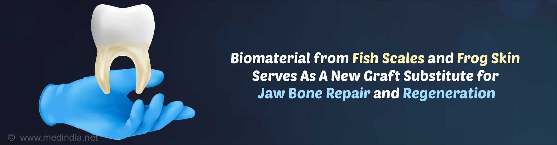 Fish Scales and Frog Skin For Jaw Bone Repair and Regeneration