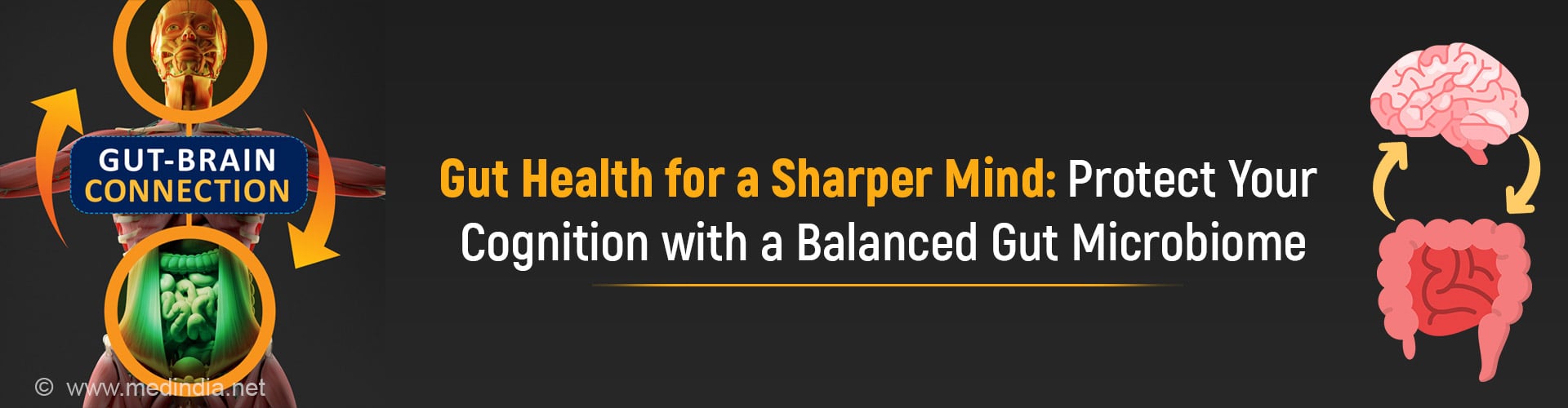 How Blastocystis in the Gut Impacts Cognitive Health and Executive Function How Blastocystis in the Gut Impacts Cognitive Health and Executive Function