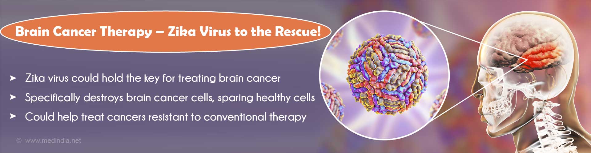 Zika Virus Could Help Treat Brain Cancer: Here’s How