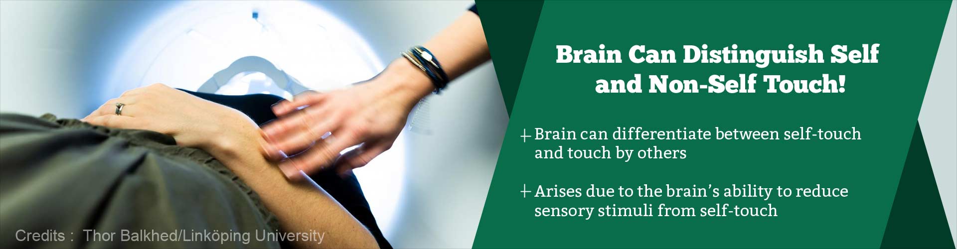 How Does the Brain Differentiate Between Self and Other''s Touch? How Does the Brain Differentiate Between Self and Other''s Touch?