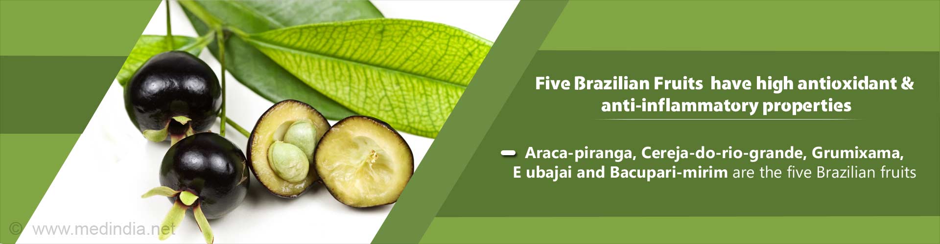 Brazilian Native Fruit Trees Have Anti-inflammatory and Antioxidant Properties