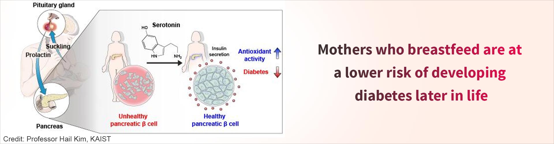 Good News to Mothers: Breastfeeding Helps Prevent Diabetes