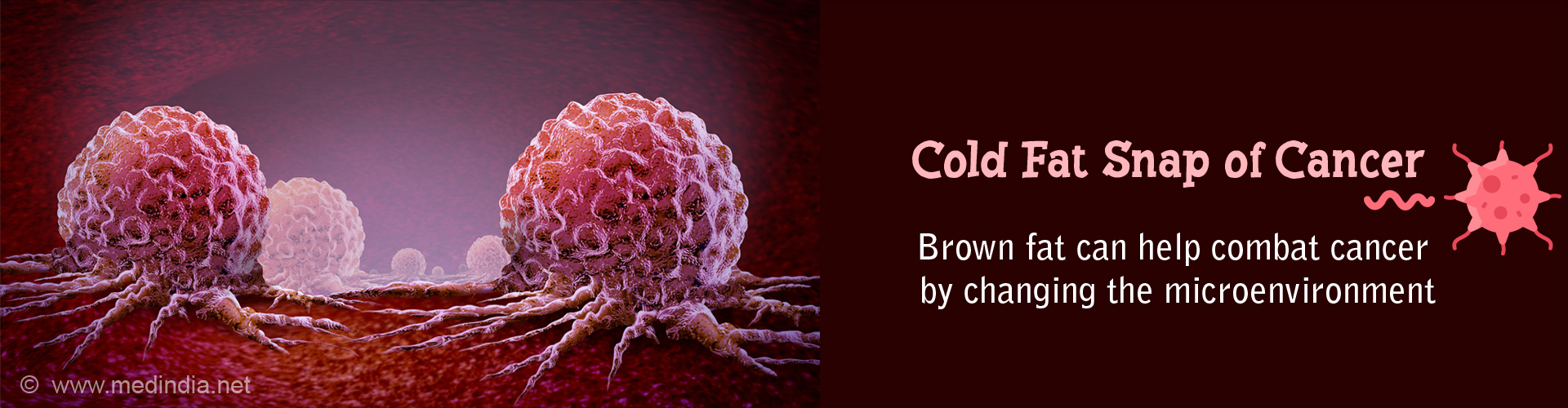 Not All Fats are Bad - Brown Fat can Help You Kill Cancer Not All Fats are Bad - Brown Fat can Help You Kill Cancer